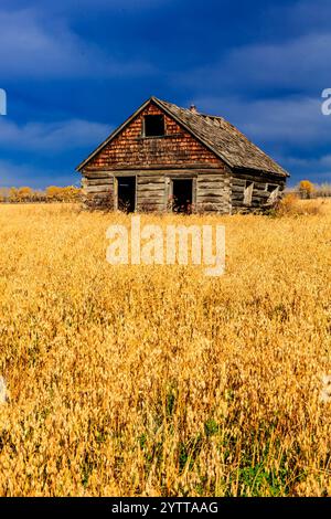 Une petite maison ancienne se trouve dans un champ d'herbe haute et sèche. Le ciel est nuageux et le soleil est caché derrière les nuages. La scène est calme et paisible, esprit Banque D'Images