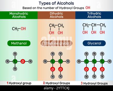 Types d'alcools. Alcool monohydrique, dihydrique, trihydrique avec méthanol, éthylène glycol, molécules de glycérol. Vecteur Illustration de Vecteur