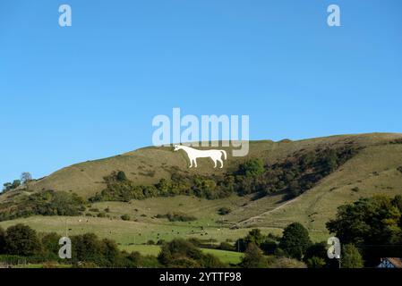 Westbury White Horse sur l'escarpement nord de Salisbury Plain est le plus ancien des huit chevaux blancs du Wiltshire, au Royaume-Uni Banque D'Images