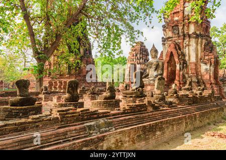 Statue de Bouddha parmi les ruines du Wat Mahathat à Ayutthaya Banque D'Images