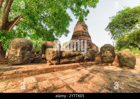 Têtes de pierre de statues de Bouddha parmi les ruines de Wat Ratchaburana Banque D'Images