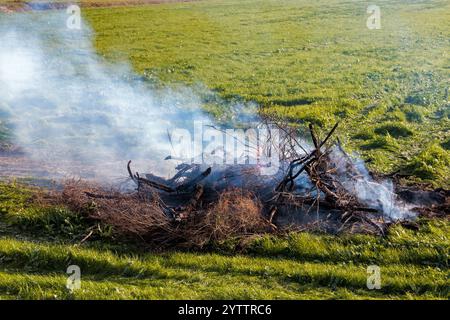 Brûlage de plantes dans la campagne. Nettoyage d'une parcelle dans l'étang asséché de Montady près de la colline de l'Enserune. Occitanie, France Banque D'Images