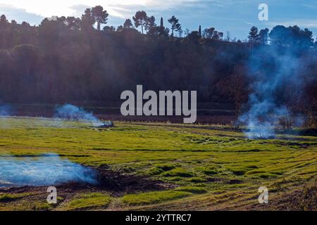 Brûlage de plantes dans la campagne. Nettoyage d'une parcelle dans l'étang asséché de Montady près de la colline de l'Enserune. Occitanie, France Banque D'Images