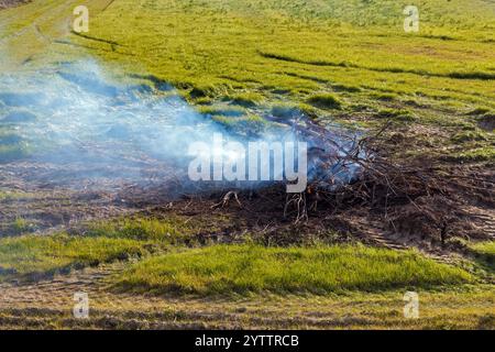 Brûlage de plantes dans la campagne. Nettoyage d'une parcelle dans l'étang asséché de Montady près de la colline de l'Enserune. Occitanie, France Banque D'Images