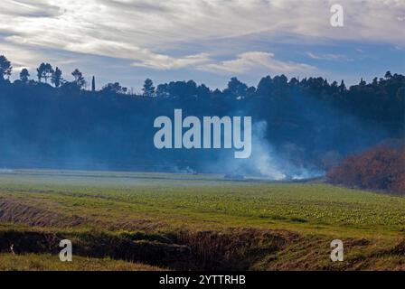 Brûlage de plantes dans la campagne. Nettoyage d'une parcelle dans l'étang asséché de Montady près de la colline de l'Enserune. Occitanie, France Banque D'Images