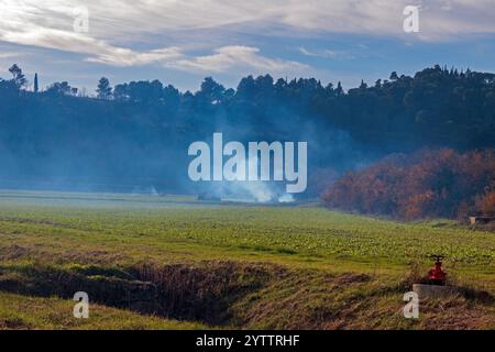 Brûlage de plantes dans la campagne. Nettoyage d'une parcelle dans l'étang asséché de Montady près de la colline de l'Enserune. Occitanie, France Banque D'Images