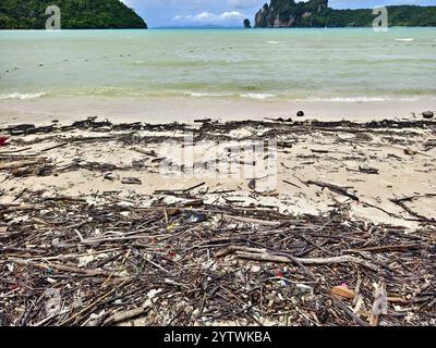Une plage lourdement jonchée de bois et de plastique Banque D'Images