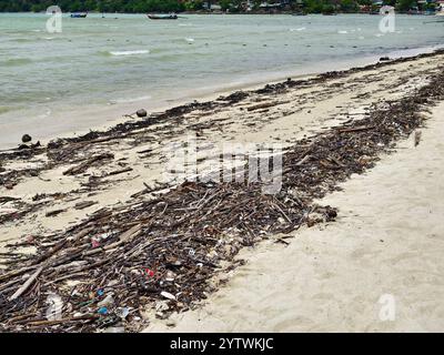 Une plage lourdement jonchée de bois et de plastique Banque D'Images