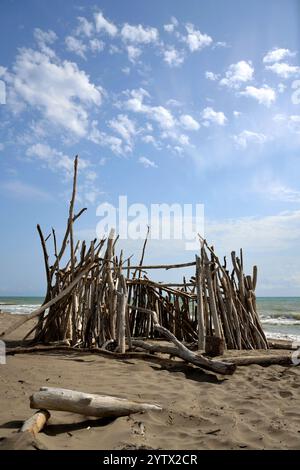 Bois lavé utilisé pour construire des abris en bois contre le vent et le soleil sur la plage près de Marina di Grosseto, Toscane, Italie Banque D'Images