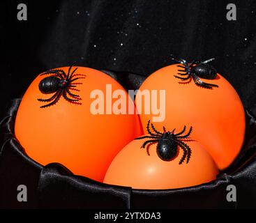 Décor d'Halloween - beaucoup d'araignées noires sur une veilleuse orange. Sur un fond noir, placez-le pour le texte. Banque D'Images