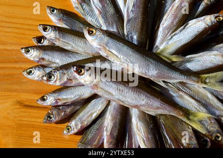 Le poisson séché sombre sur une planche de bois. Très savoureux, poisson gras pour la bière. Banque D'Images