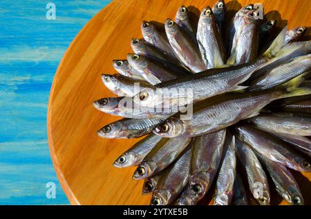 Le poisson séché séché sombre sur une planche de bois. Shemaya très savoureux et gras pour la bière. Banque D'Images