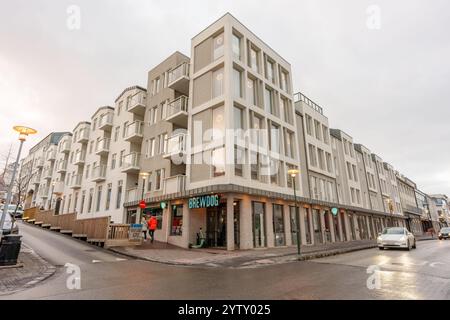 Reykjavík, Islande - 26 novembre 2024 : bière artisanale BrewDog Banque D'Images