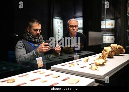 (241208) -- CHIZHOU, Dec. 8, 2024 (Xinhua) -- des experts internationaux participant à la conférence académique sur le site de Hualongdong visitent la salle d'exposition du site de Hualongdong dans le comté de Dongzhi de la ville de Chizhou, province de l'Anhui, dans l'est de la Chine, Dec. 6, 2024. Les scientifiques chinois ont découvert des dizaines de fossiles humains datant de 300 000 ans, qui sont les premiers trouvés en Asie de l'est en termes de processus d'évolution vers Homo sapiens, l'espèce à laquelle appartiennent tous les êtres humains modernes. Les fossiles humains, ainsi qu'un grand nombre d'os d'animaux fossilisés et d'outils en pierre, ont été mis au jour Banque D'Images