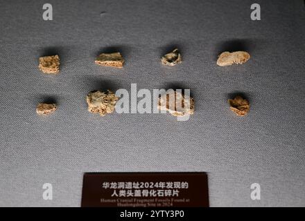 (241208) -- CHIZHOU, Dec. 8, 2024 (Xinhua) -- cette photo prise le Dec. 6, 2024 montre des fragments de fossiles de crâne humain exposés dans la salle d'exposition du site de Hualongdong dans le comté de Dongzhi de la ville de Chizhou, dans la province d'Anhui de l'est de la Chine. Les scientifiques chinois ont découvert des dizaines de fossiles humains datant de 300 000 ans, qui sont les premiers trouvés en Asie de l'est en termes de processus d'évolution vers Homo sapiens, l'espèce à laquelle appartiennent tous les êtres humains modernes. Les fossiles humains, ainsi qu'un grand nombre d'os d'animaux fossilisés et d'outils en pierre, ont été découverts au Hualongd Banque D'Images