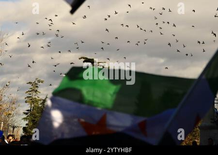 Istanbul, Turquie. 08 décembre 2024. Le drapeau syrien agite dans la cour de la mosquée Fatih lors d’un rassemblement de Syriens avant l’annonce de la chute du régime d’Assad. Crédit : SOPA images Limited/Alamy Live News Banque D'Images