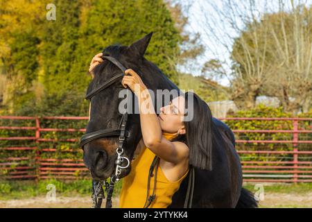 Une femme concentrée dans un sommet jaune ajustant soigneusement une bride sur la tête d'un cheval noir dans un cadre de ranch ensoleillé, préparant le cheval pour l'équitation ou le train Banque D'Images