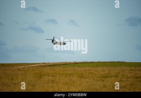 Hélicoptère tandem-rotor Chinook de la RAF volant rapidement et bas lors d'un exercice de combat militaire Banque D'Images