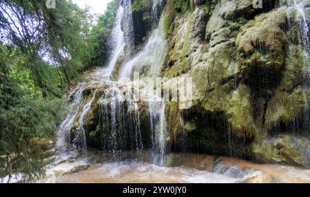 Une belle cascade coule gracieusement sur des rochers accidentés, créant une atmosphère tranquille au cœur d'une forêt dense. L'eau tombe d'un Banque D'Images