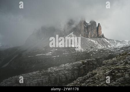 Une montagne majestueuse entièrement recouverte d'une couverture de neige immaculée, avec de grands arbres verts magnifiquement debout au premier plan Banque D'Images