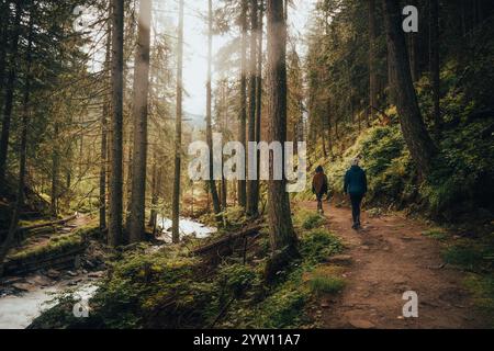 Deux individus marchent tranquillement le long d'un sentier pittoresque qui serpente à travers une zone boisée tranquille remplie d'arbres et de nature Banque D'Images