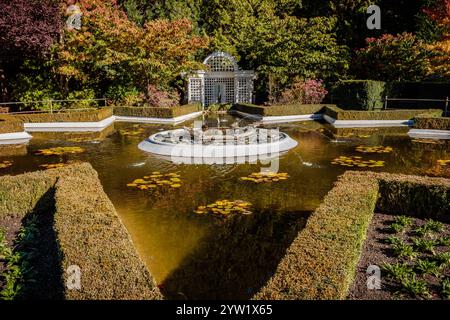 Un petit étang avec une fontaine au milieu entouré de haies. L'étang est rempli de lis et d'autres plantes Banque D'Images
