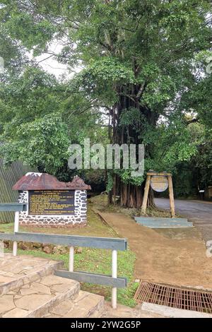 Daressalam Themenfoto : Reise, Afrika, Tansania, Kilimandscharo, 07.12.2024 Der Eingang zum Kilimdscharo-Nationalpark Themenfoto : Reise, Afrika, Tansania, Kilimandscharo, 07.12.2024 *** Dar es Salaam Theme photo Travel, Africa, Tanzania, Kilimanjaro, 07 12 2024 The Entrance 2024 to Kilimanjaro National Park Theme photo Travel, Africa, Tanzania, Tanzania, Tanzania, Tanzania, Tanzania, Tanzania Justetjaro Juxerxerxerxerxerjaro 12/Justanjaro Banque D'Images