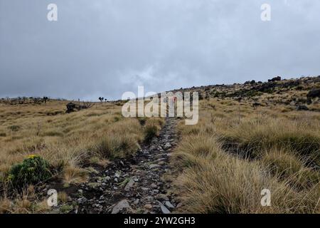 Daressalam Themenfoto : Reise, Afrika, Tansania, Kilimandscharo, 07.12.2024 Die Hochebene am Mount Kilimadscharo Themenfoto : Reise, Afrika, Tansania, Kilimandscharo, 07.12.2024 *** Dar es Salaam Theme photo Travel, Africa, Tanzania, Kilimanjaro, 07 12 2024 The plateau 2024 at Mount Kilimanjaro Themenfoto Banque D'Images