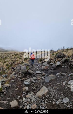 Daressalam Themenfoto : Reise, Afrika, Tansania, Kilimandscharo, 07.12.2024 Die Hochebene am Mount Kilimadscharo Themenfoto : Reise, Afrika, Tansania, Kilimandscharo, 07.12.2024 *** Dar es Salaam Theme photo Travel, Africa, Tanzania, Kilimanjaro, 07 12 2024 The plateau 2024 at Mount Kilimanjaro Themenfoto Banque D'Images