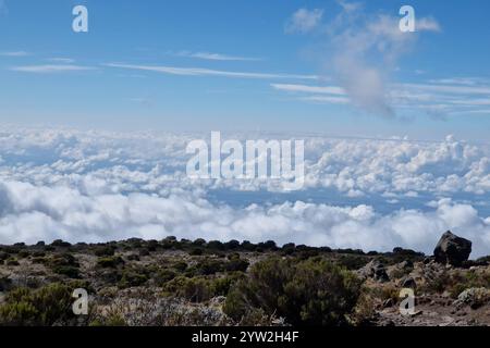DATE D'ENREGISTREMENT NON INDIQUÉE Daressalam Themenfoto : Reise, Afrika, Tansania, Kilimandscharo, 07.12.2024 Themenfoto : Reise, Afrika, Tansania, Kilimandscharo, 07.12.2024 *** Dar es Salaam photo thème voyage, Afrique, Tanzanie, Kilimandjaro, 07 12 2024 photo thème voyage, Afrique, Tanzanie, Kilimandjaro, 07 12 2024 Copyright : xEibner-Pressefoto/JuergenxAugstx EP JAT Banque D'Images