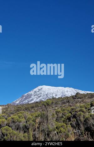 Daressalam Themenfoto : Reise, Afrika, Tansania, Kilimandscharo, 07.12.2024 Der Gipfel des Mount Kilimandscharo Themenfoto : Reise, Afrika, Tansania, Kilimandscharo, 07.12.2024 *** Dar es Salaam Theme photo Travel, Africa, Tanzania, Kilimanjaro, 07 12 2024 The Summit of Mount Kilimanjaro Theme photo Travel, Africa, Tanzania, Kilimanjaro Thimanjaro Theme photo Travel, Kilimanjaro, ExerxerxerxerxeJEP 2024 : Copyright/JEP Banque D'Images