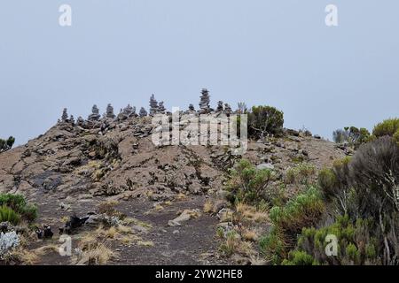 Daressalam Themenfoto : Reise, Afrika, Tansania, Kilimandscharo, 07.12.2024 Die Hochebene am Mount Kilimadscharo Themenfoto : Reise, Afrika, Tansania, Kilimandscharo, 07.12.2024 *** Dar es Salaam Theme photo Travel, Africa, Tanzania, Kilimanjaro, 07 12 2024 The plateau 2024 at Mount Kilimanjaro Themenfoto Banque D'Images