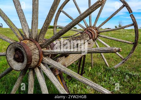 Une vieille roue en bois avec une jante en métal. La roue est entourée d'un champ vert luxuriant, lui donnant une sensation rustique et nostalgique. La combinaison de l'ancien Banque D'Images