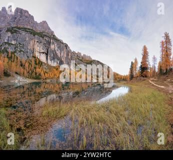 Lac Federa au pied de Croda da da Lago en automne entouré de mélèzes, Dolomites, Cortina d'Ampezzo, province de Belluno, Vénétie, Italie Banque D'Images