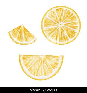 Agrumes jaunes. Ensemble de tranches et de moitiés de citron. Citron frisky juteux. Illustration aquarelle isolée de l'arrière-plan. Clip art pour emballage Banque D'Images