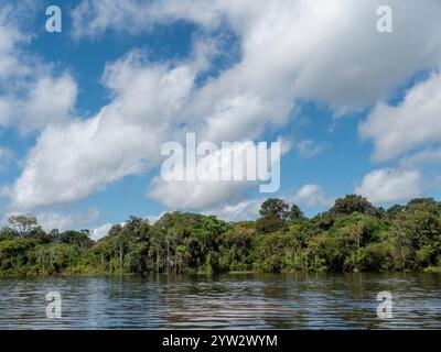 Paysage du fleuve Amazone avec forêt tropicale. La photo a été prise près de Tefé. Banque D'Images