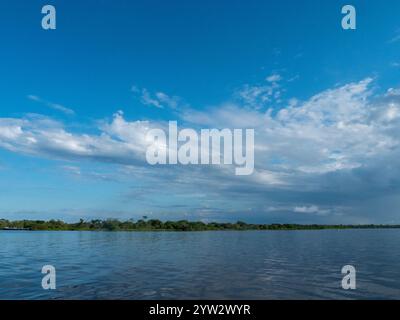 Paysage du fleuve Amazone avec forêt tropicale. La photo a été prise près de Tefé. Banque D'Images
