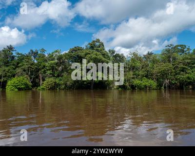 Paysage du fleuve Amazone avec forêt tropicale. La photo a été prise près de Tefé. Banque D'Images
