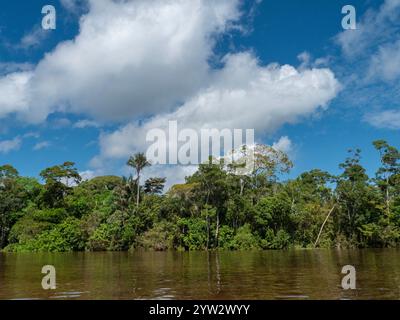 Paysage du fleuve Amazone avec forêt tropicale. La photo a été prise près de Tefé. Banque D'Images