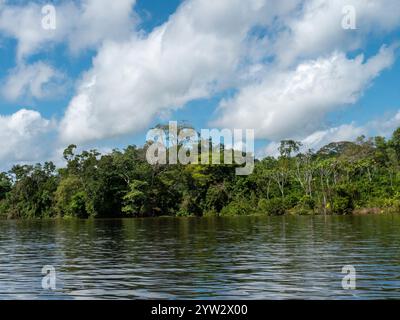 Paysage du fleuve Amazone avec forêt tropicale. La photo a été prise près de Tefé. Banque D'Images