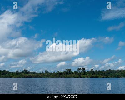 Paysage du fleuve Amazone avec forêt tropicale. La photo a été prise près de Tefé. Banque D'Images