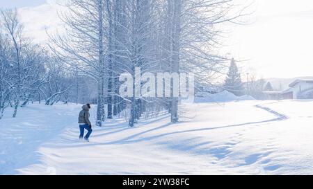 Figure solitaire dans le pays des merveilles de l'hiver Banque D'Images