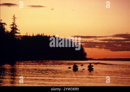 Kayaks, canoës à la lumière du soir, près de Robson Bight, Île de Vancouver, Canada, Amérique du Nord Banque D'Images