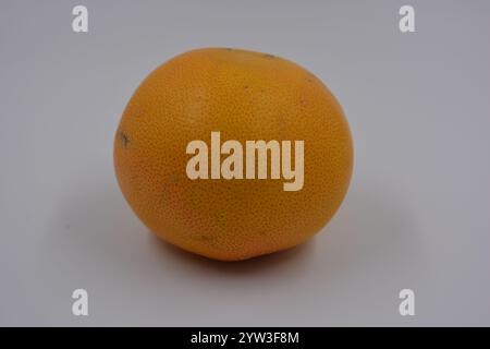 Santé, aliments sains, fruits, nutrition appropriée. Un pamplemousse rouge et orange placé sur un fond blanc mat. Banque D'Images