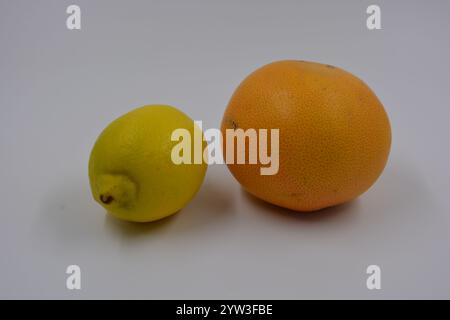 Santé, aliments sains, fruits, nutrition appropriée. Un citron jaune et un pamplemousse rouge-orange placés sur un fond blanc mat. Banque D'Images