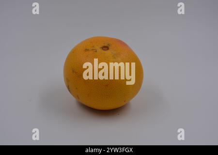 Santé, aliments sains, fruits, nutrition appropriée. Un pamplemousse rouge et orange placé sur un fond blanc mat. Banque D'Images