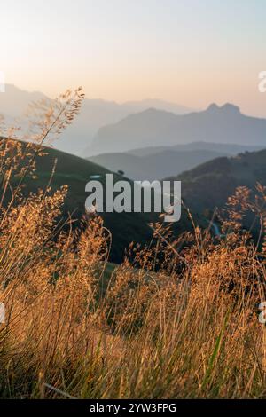 paysage de montagne pendant le lever du soleil d'été Banque D'Images