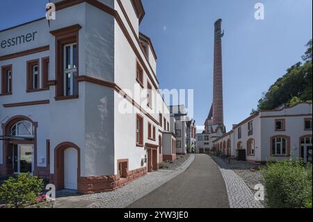 Brasserie Riegel sur le canal Léopold, produite à Riegel de 1834 à 2003, aujourd'hui galerie d'art et avec des lofts modernes, Riegel am Kaiserstuhl, Baden-Wuer Banque D'Images