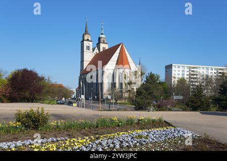 Une église entourée de parterres de fleurs sous un ciel bleu au printemps, église Saint-Jean, Magdebourg, Saxe-Anhalt, Allemagne, Europe Banque D'Images