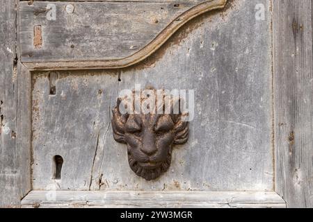 Porte en bois vieilli avec une tête de lion en métal comme décoration, atmosphère rustique et antique, Galatina, Pouilles, Italie, Europe Banque D'Images